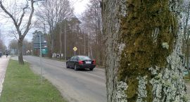 zdjęcie nr 9