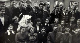 zdjęcie nr 21