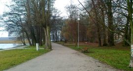 zdjęcie nr 9