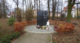 zdjęcie nr 15