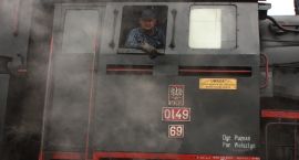 Fotka nr 5 z 16