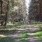 zdjęcie nr 54