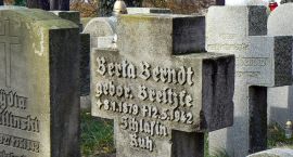 zdjęcie nr 8