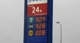 zdjęcie nr 10