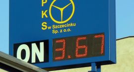 Fotka nr 3 z 8