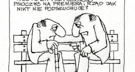 zdjęcie nr 17