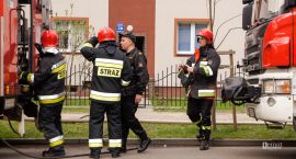Fotka nr 5 z 9