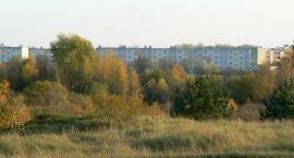 Fotka nr 2 z 6