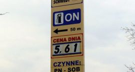 Fotka nr 5 z 8