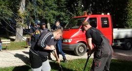 Fotka nr 2 z 14