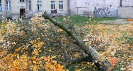 zdjęcie nr 9