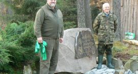 zdjęcie nr 12