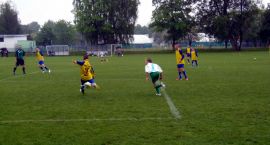 Fotka nr 3 z 12