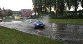 zdjęcie nr 12