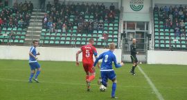 zdjęcie nr 19