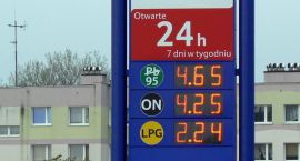 zdjęcie nr 7