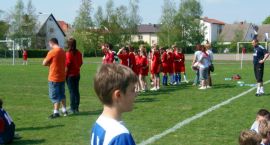 zdjęcie nr 10
