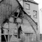 Fotka nr 5 z 8