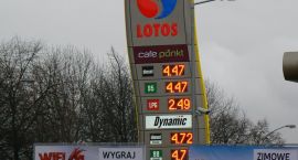 zdjęcie nr 7