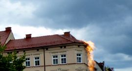 zdjęcie nr 12