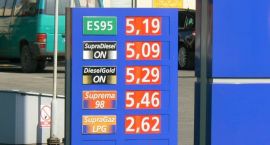 zdjęcie nr 8