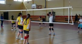 zdjęcie nr 15