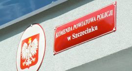 zdjęcie nr 9