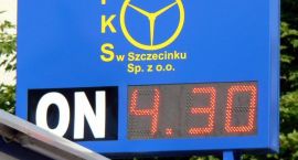Fotka nr 0 z 11