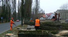 zdjęcie nr 20