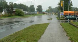 zdjęcie nr 11