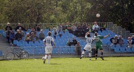 Fotka nr 4 z 17