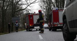Fotka nr 2 z 4