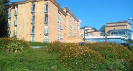 zdjęcie nr 31