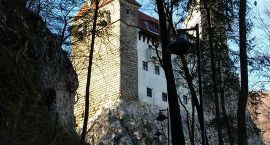 zdjęcie nr 8