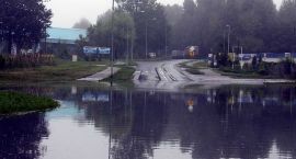 zdjęcie nr 29
