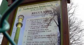zdjęcie nr 22
