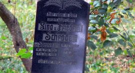 zdjęcie nr 16