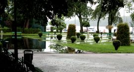 zdjęcie nr 8
