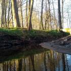 zdjęcie nr 11
