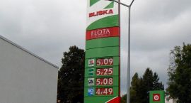 Fotka nr 0 z 8