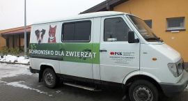 Fotka nr 2 z 6