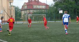 Fotka nr 4 z 11
