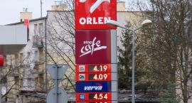 zdjęcie nr 7