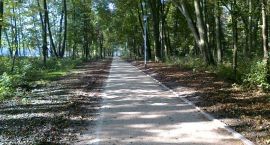 zdjęcie nr 8