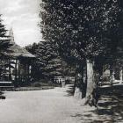 zdjęcie nr 8