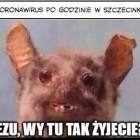 zdjęcie nr 7