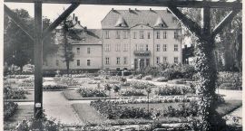 Fotka nr 1 z 2