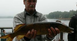 zdjęcie nr 9