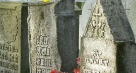 zdjęcie nr 7