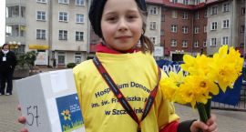 zdjęcie nr 16